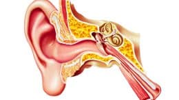 acute vestibular symptoms