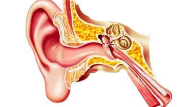 acute vestibular symptoms
